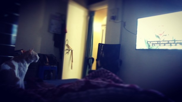 img_20161226_235521_070